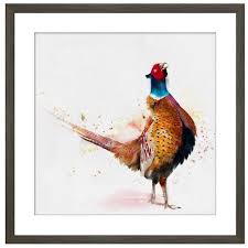 FRAMED PICTURE STANDING PHEASANT   50X50CM. CLICK N COLLECT Online now