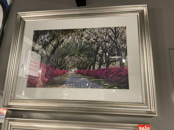 Azalea framed picture Instore Large  clearance for collection Online Hot Sale