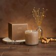 Pumpkin Seed & Sandalwood Candle Online Sale