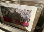 Azalea framed picture Instore Large  clearance for collection Online Hot Sale