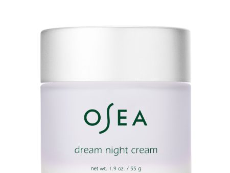 Dream Night Cream Hot on Sale